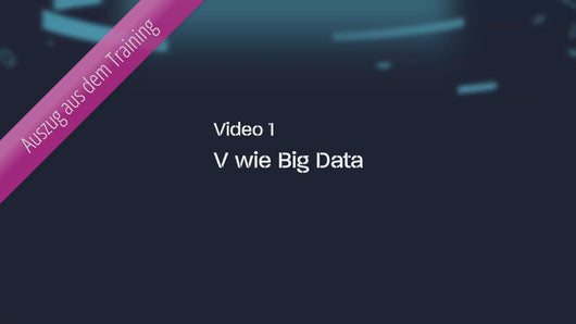 Big Data – Die Welt der Daten verstehen