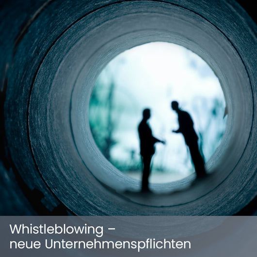 Whistleblowing – neue Unternehmenspflichten – Neues Gesetz – Hinweisgeberschutz (in Kooperation mit heyData)