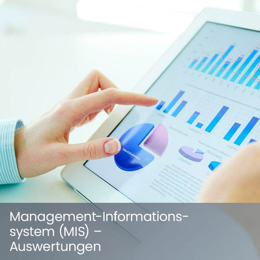 Web-Software-Training: Management-Informationssystem (MIS) – Auswerten mit Excel