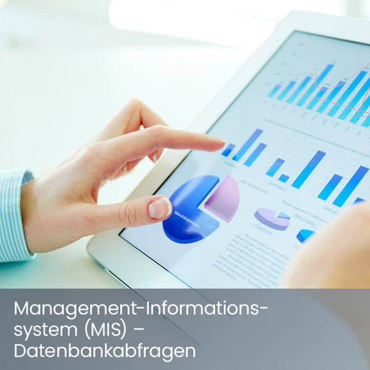 Web-Software-Training: Management-Informationssystem (MIS) – Eigene Datenbankabfragen erstellen
